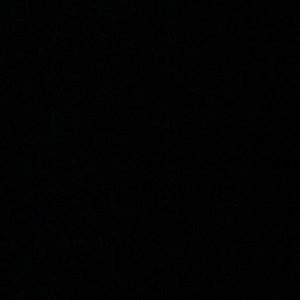 Meet your Posher, Abigail